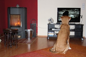Cosmo Fernseher u. Kamin