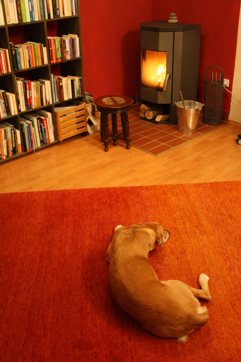 Cosmo Kamin - Hunde-Hof Wald & Wiese